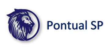 Contabilidade Pontual